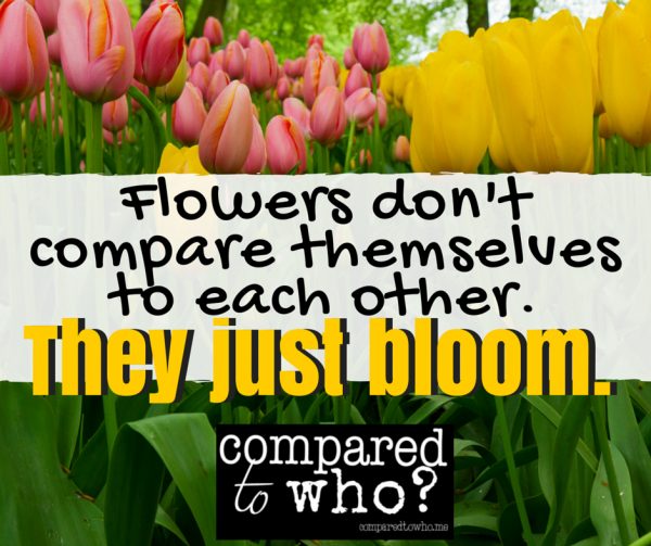 Flowers Don't Compare Themselves, They Just Bloom. Compared to Who