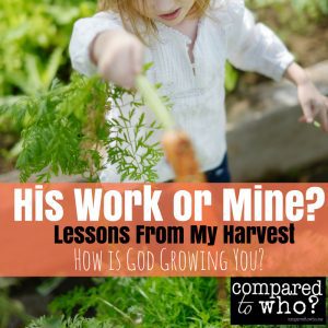 How is God growing you? Here are some lessons from my harvest that have taught me about his work and mine.