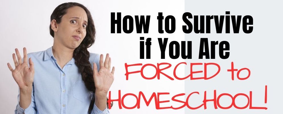 Forced to Homeschool? Here’s How to Homeschool in Quarantine and Love it!