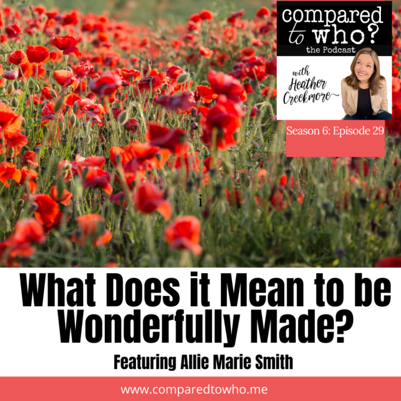 Fearfully And Wonderfully Made: God Made You on Purpose